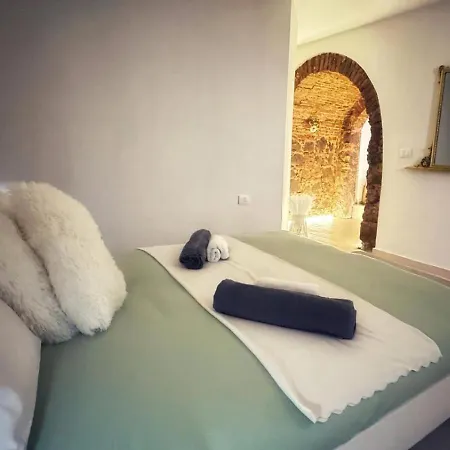 Nestcity * Catania
