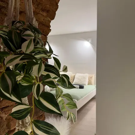 Nestcity